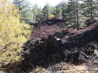 nti Sartorius-01-11-2012 10-06-06